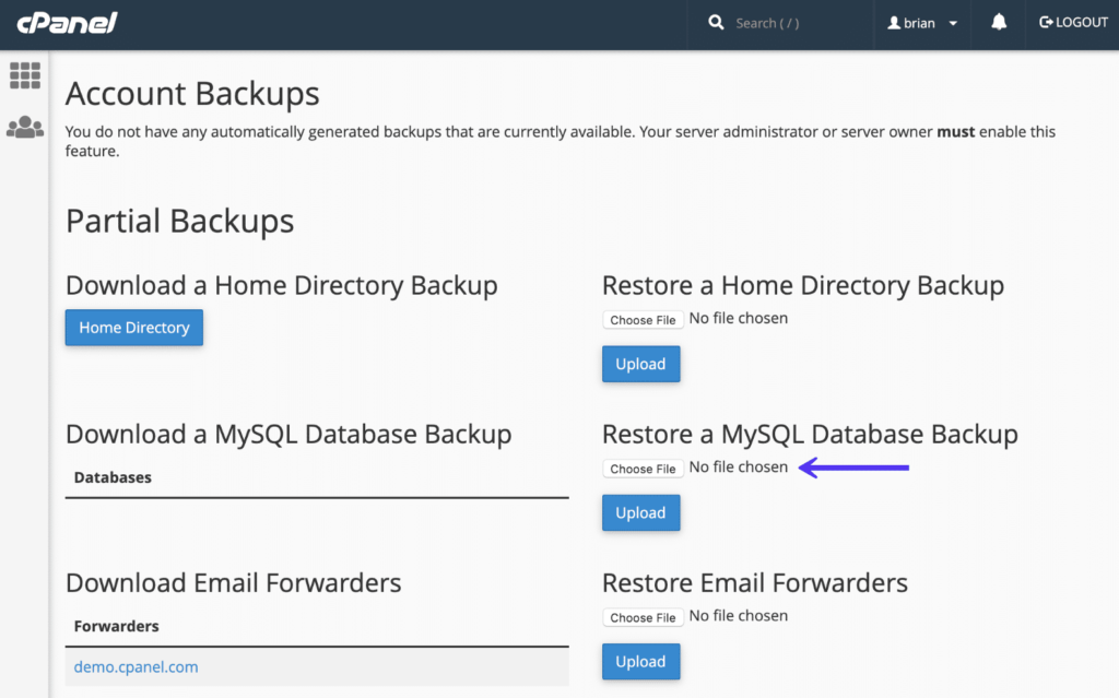 Restore WordPress Database Backup