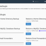 Restore WordPress Database Backup